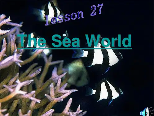 Unit 7 Lesson3 The Sea World课件 (北师大版模块3)