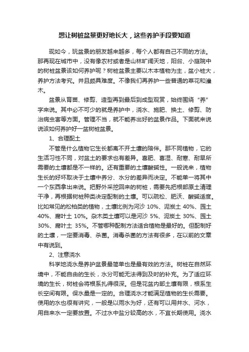 想让树桩盆景更好地长大，这些养护手段要知道