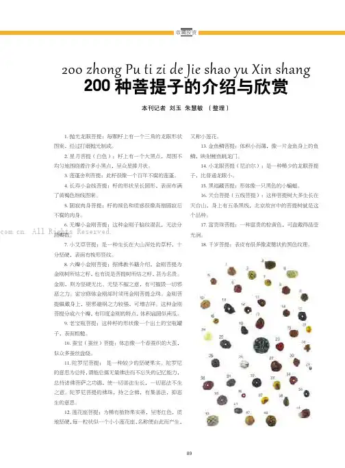 200种菩提子的介绍与欣赏