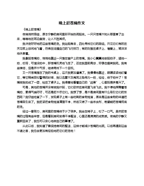 晚上赶苍蝇作文