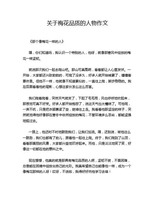 关于梅花品质的人物作文