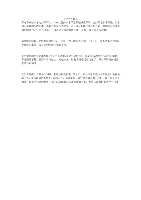 《翠鸟》课文
