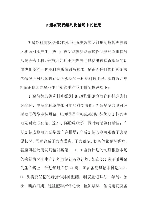 B超在现代集约化猪场中的使用