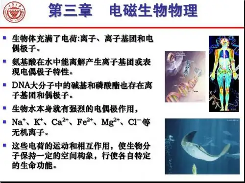 生物物理学 第3章