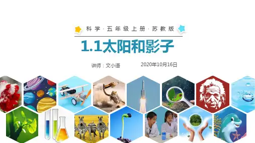 苏教版科学五年级上册课件1.1太阳和影子-PPT-附教案