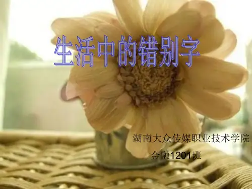生活中的错别字ppt。