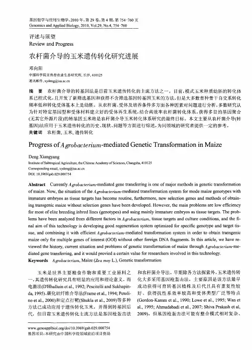 农杆菌介导的玉米遗传转化研究进展