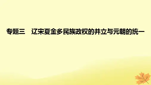 2023版高考历史一轮复习真题精练专题3辽宋夏金多民族政权的并立与元朝的统一课件