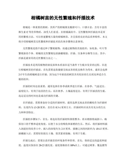 柑橘树苗的无性繁殖和扦插技术