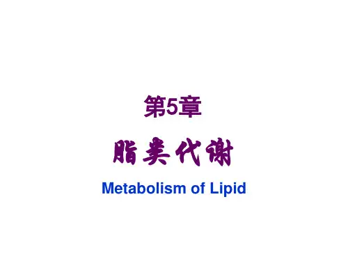 脂类代谢ppt
