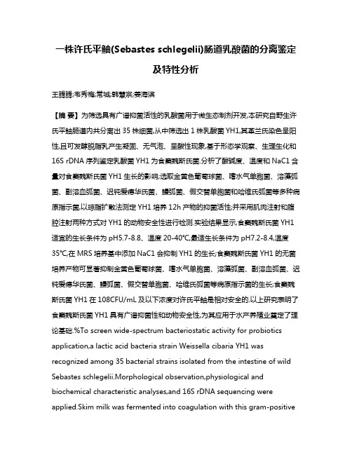 一株许氏平鲉(Sebastes schlegelii)肠道乳酸菌的分离鉴定及特性分析