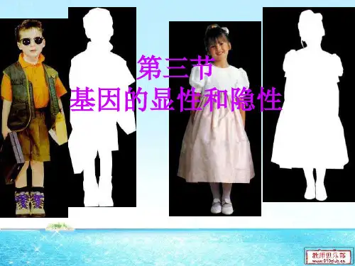 7.2.3基因的显性和隐性