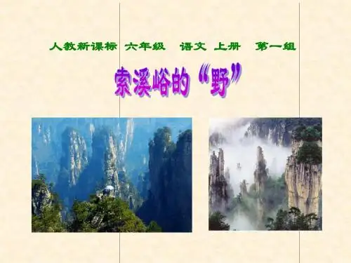 课件索溪峪的“野”
