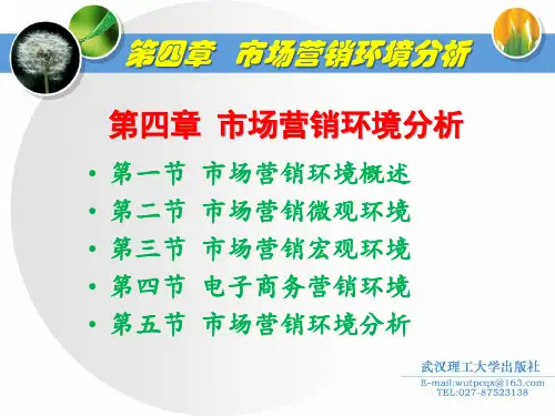 30第四章市场营销环境分析ppt
