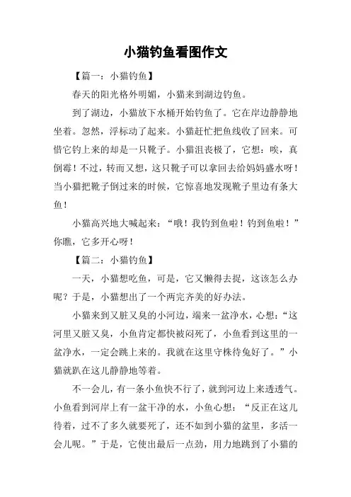 小猫钓鱼看图作文