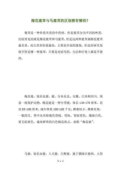 梅花鹿茸与马鹿茸的区别都有哪些？