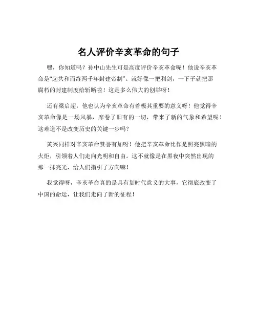 名人评价辛亥革命的句子