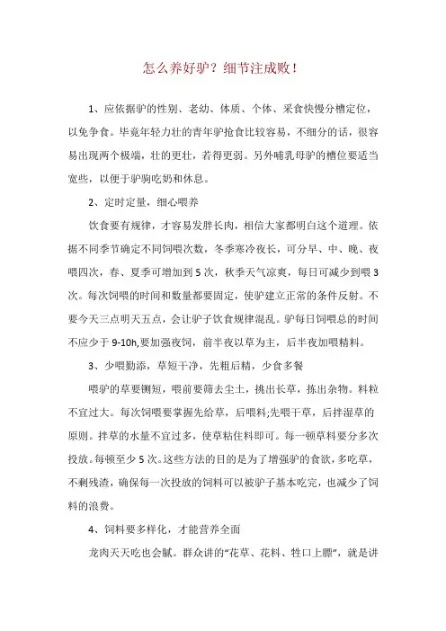 怎么养好驴？细节注成败!