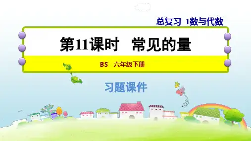 北师大版六年级下册数学习题课件 1.11 常见的量 (共11张PPT)