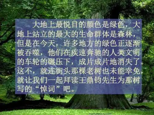 《那树》(精品修订版).ppt