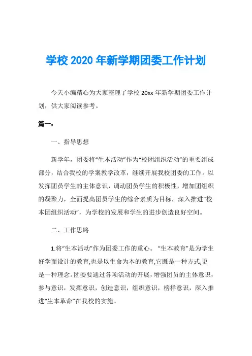 学校2020年新学期团委工作计划