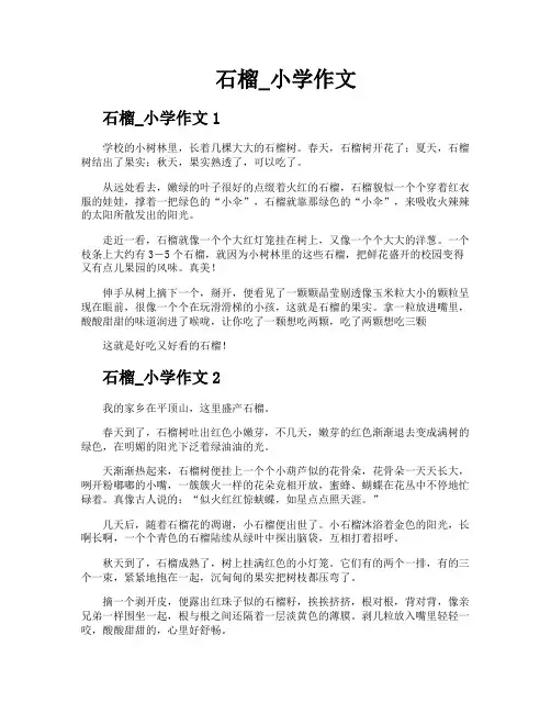 石榴小学作文
