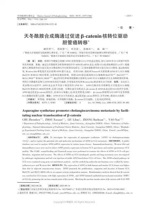 天冬酰胺合成酶通过促进β-catenin核转位驱动胆管癌转移