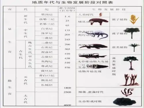 地壳演化史