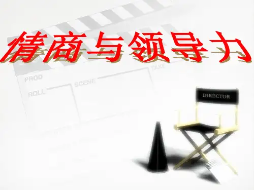 情商与领导力