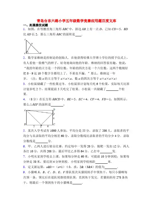 青岛台东六路小学五年级数学竞赛应用题百度文库