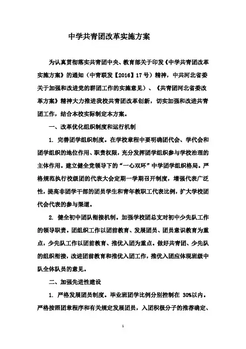 中学共青团改革实施方案