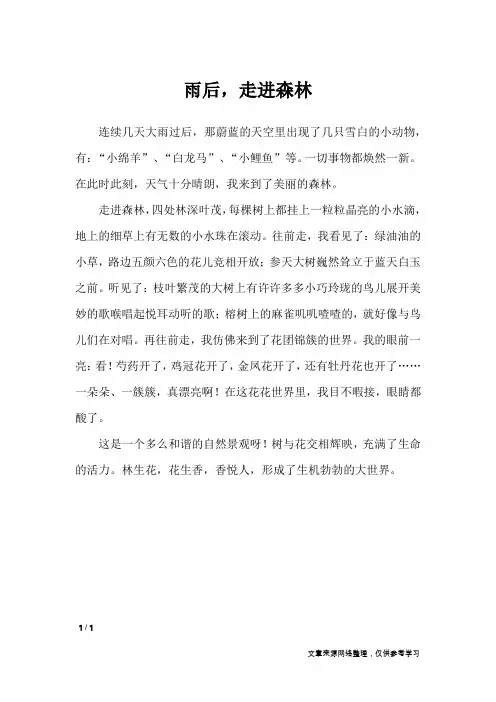 雨后,走进森林_小学作文