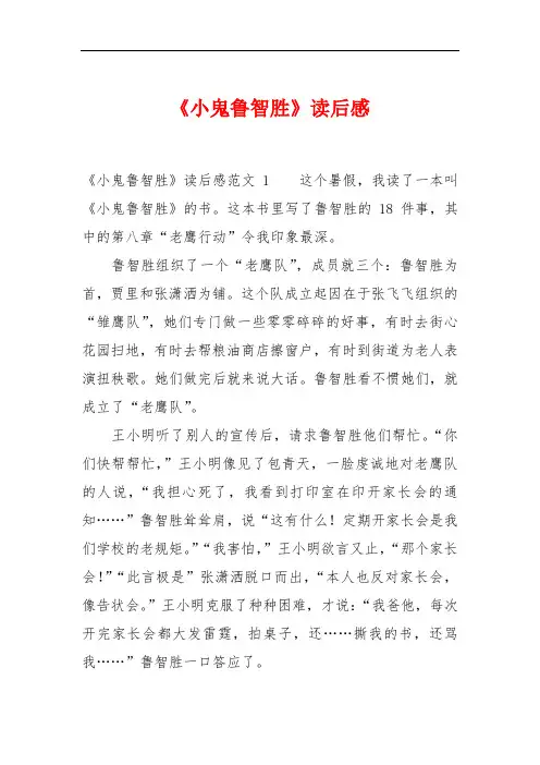 《小鬼鲁智胜》读后感