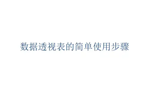 数据透视表简单运用步骤