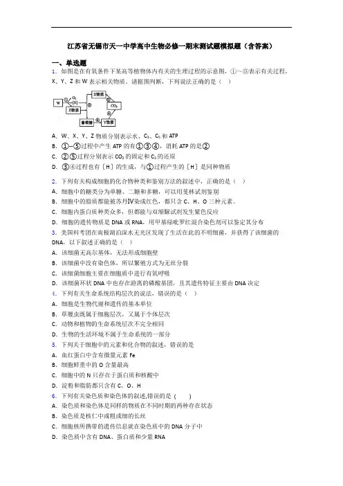 江苏省无锡市天一中学高中生物必修一期末测试题模拟题(含答案)