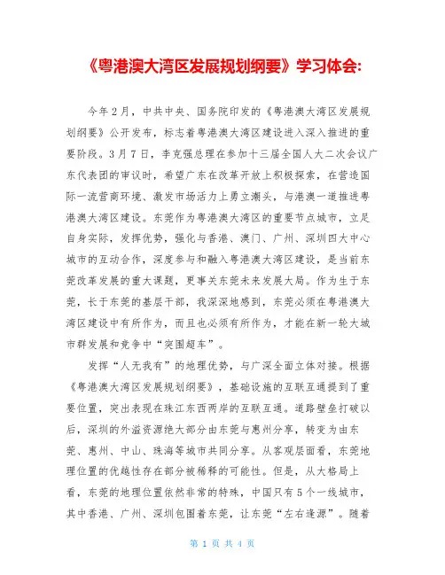 《粤港澳大湾区发展规划纲要》学习体会-
