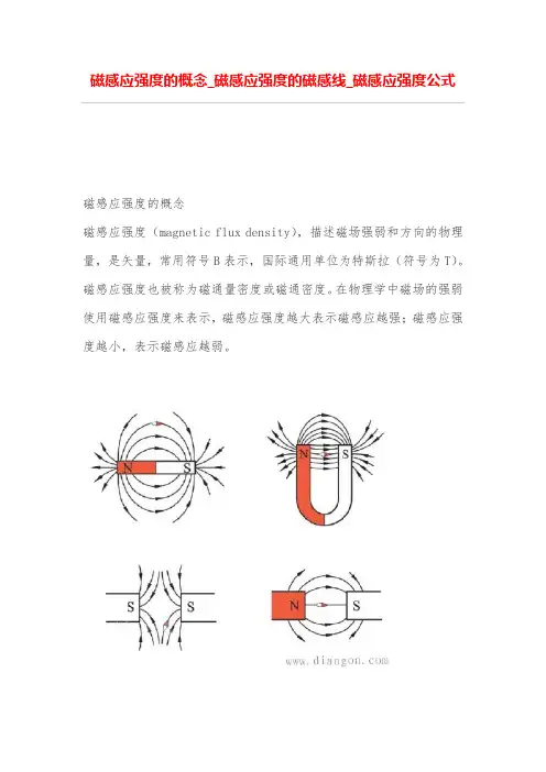 磁感应强度的概念_磁感应强度的磁感线_磁感应强度公式