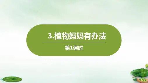 人教版部编本植物妈妈有办法第一课时精品PPT课件