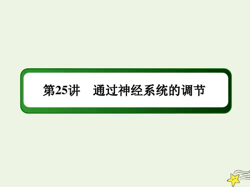 高考生物一轮复习第八单元第25讲通过神经系统的调节课件新人教版