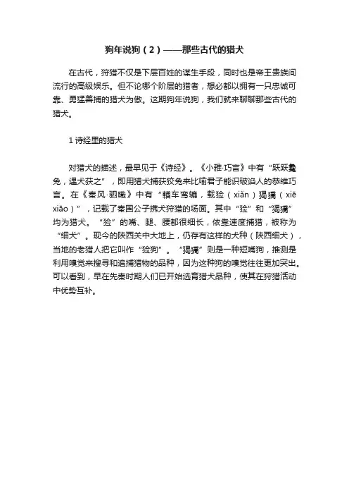 狗年说狗（2）——那些古代的猎犬