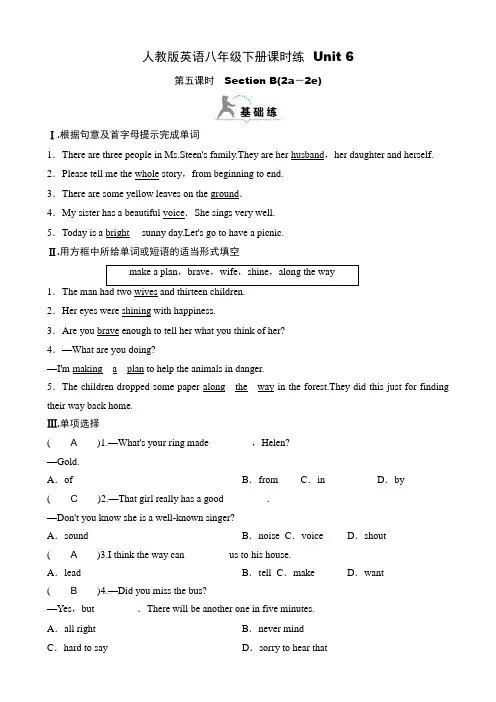 人教版英语八年级下册课时练  Unit 6 第五课时 Section B(2a-2e)