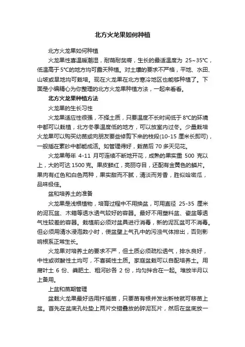 北方火龙果如何种植