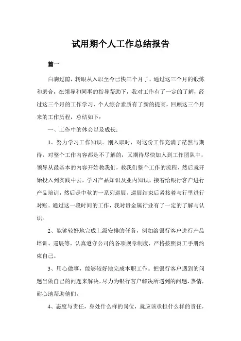 试用期个人工作总结报告三篇(完美版)