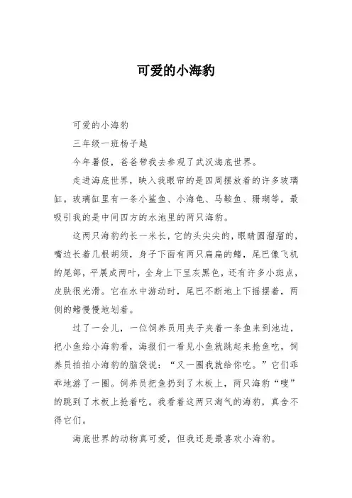 小学三年级作文：可爱的小海豹547