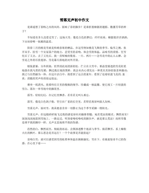雪落无声初中作文