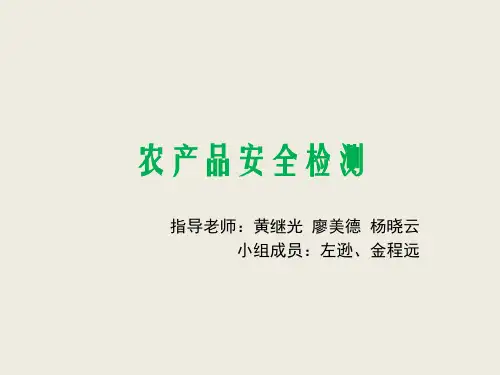 农产品安全检测-PPT精选文档