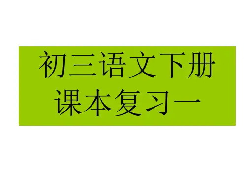 九年级下册语文基础复习ppt课件