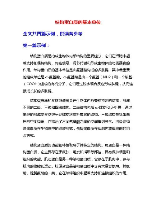 结构蛋白质的基本单位