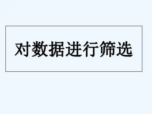 对数据进行筛选 PPT