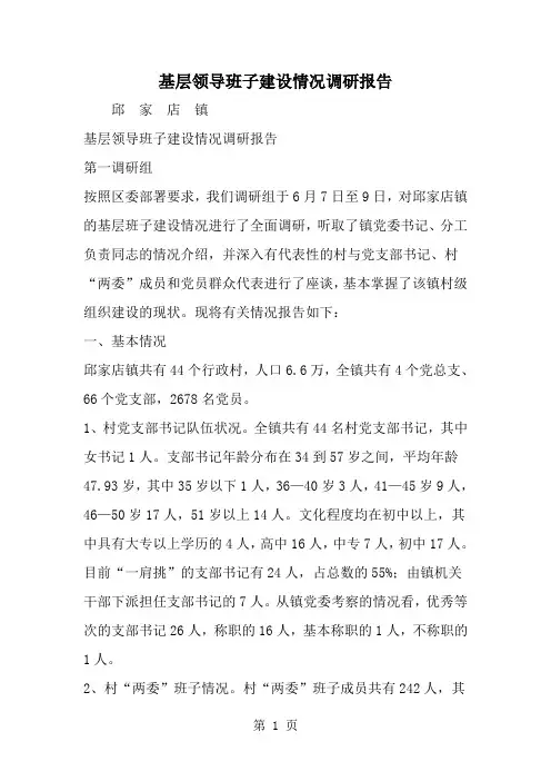 精选-基层领导班子建设情况调研报告